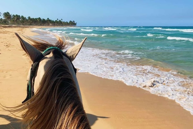 Punta Cana Beach Horseback Riding tour